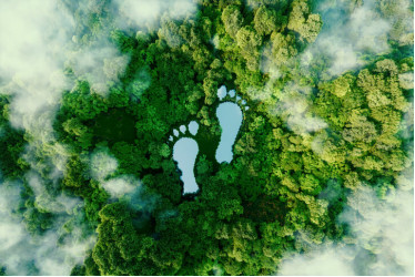 Are LOWA Boots A Sustainable Choice?