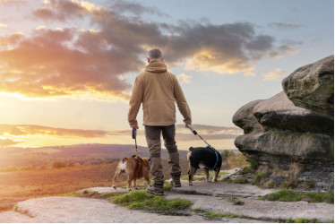 Are Safety Boots Good For Hiking?